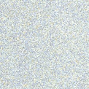 1669088108726855.jpg CF9600.jpg