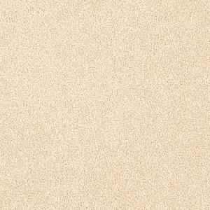 1669088358192749.jpg CF9598.jpg