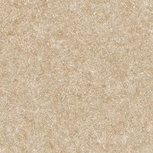 1669088626674067.jpg CF9579.jpg