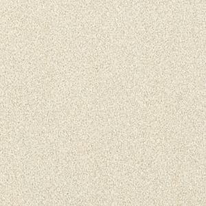 1669088668443870.jpg CF9584.jpg