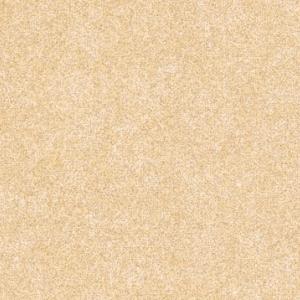 1669088716845576.jpg CF9594.jpg