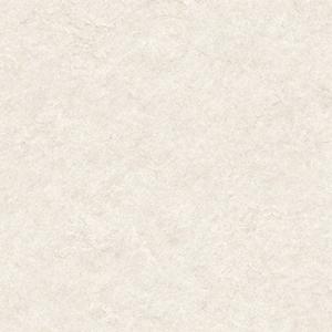 1669088939118691.jpg CF9561.jpg