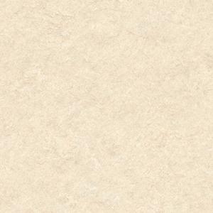 1669088944264191.jpg CF9562.jpg