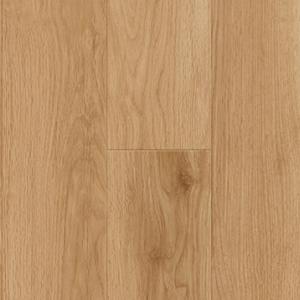 1669261466350613.jpg CF3512.jpg