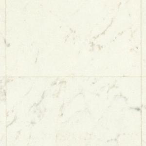 1669261718317148.jpg CF3547.jpg