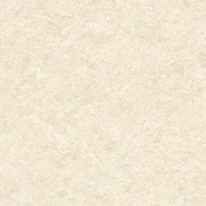 1669261765580309.jpg CF3557.jpg