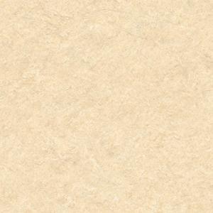 1669261769144759.jpg CF3558.jpg